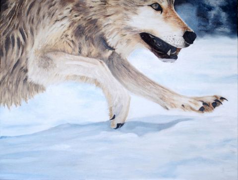 loup 2